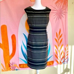 Calvin Klein Shift Dress, Size 10